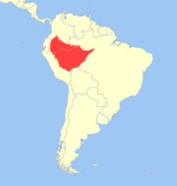 Verdens mindste abes habitat