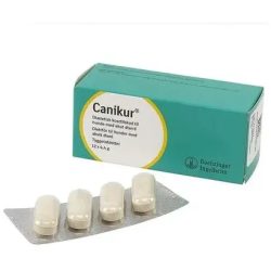 Canikur Tyggetabletter til maveproblemer, 12 tabl.