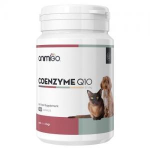 Coenzyme q10 øger hundes og kattes velvære