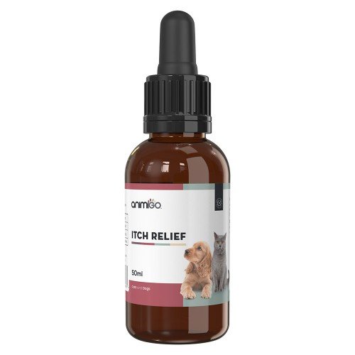Kløestillende midler til hunde Se 3 gode shampoos mod kløe her